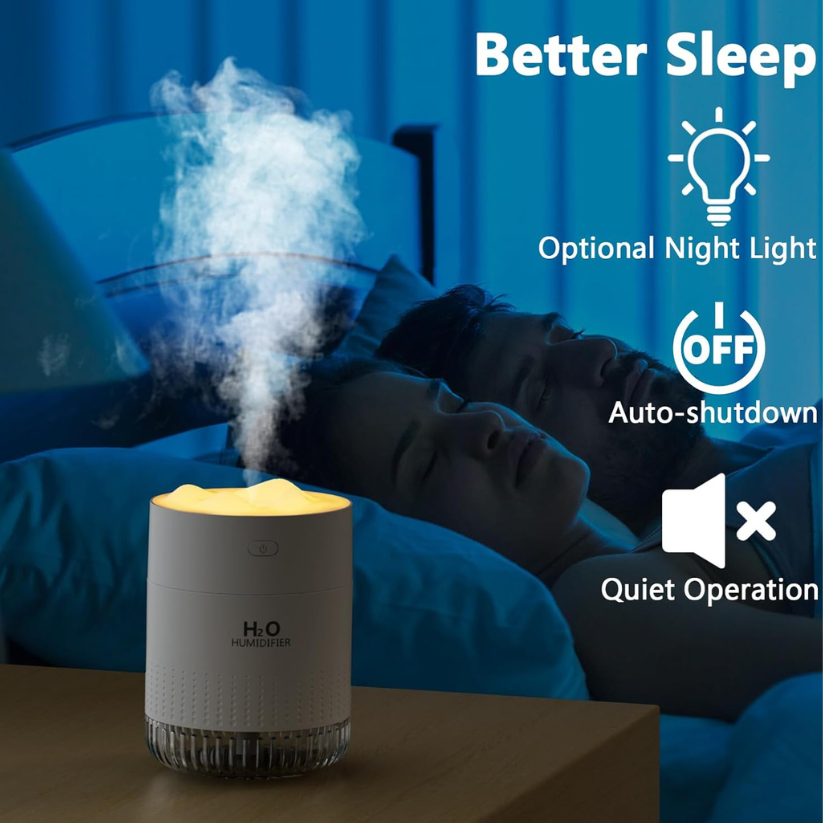 Portable Mist Humidifier